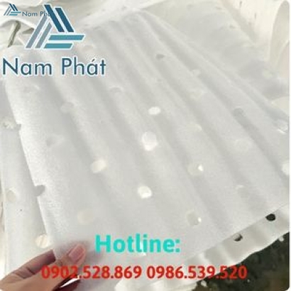 Mút xốp lót xoài chuối, trái cây giá sỉ tại khu vực TPHCM, Bình Dương, Đồng Nai…..