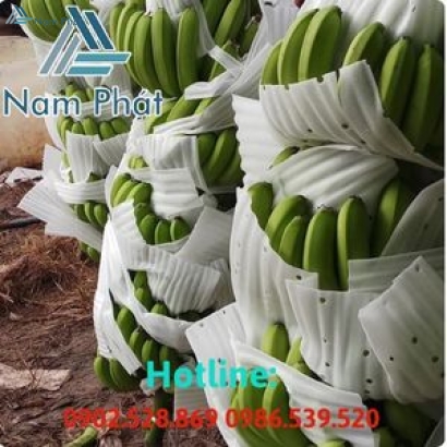 Mút xốp lót xoài chuối, trái cây giá sỉ tại khu vực TPHCM, Bình Dương, Đồng Nai…..